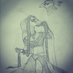 Sketch: Peafowl