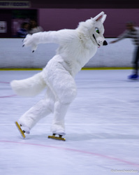 Furries on Ice 2017: Wolf Frenzy