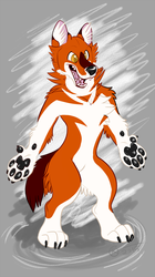 New dhole character!