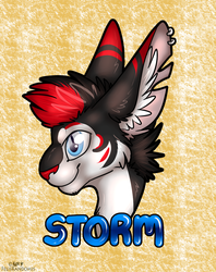 Storm Badge