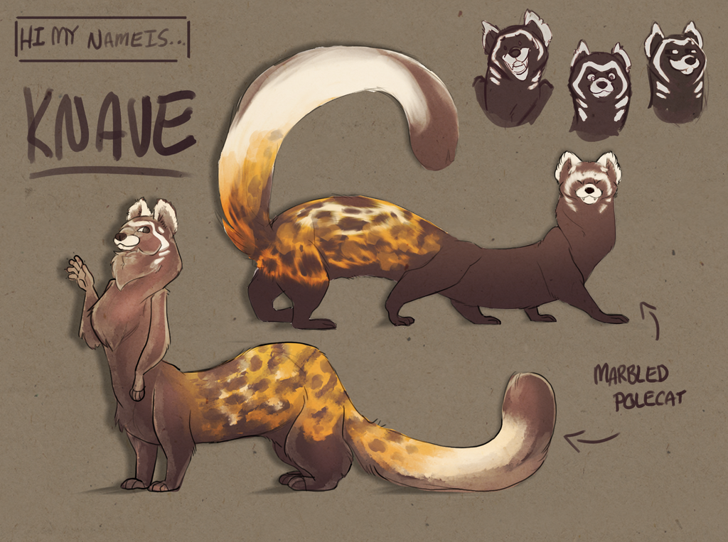 Knave- The Marble Polecat