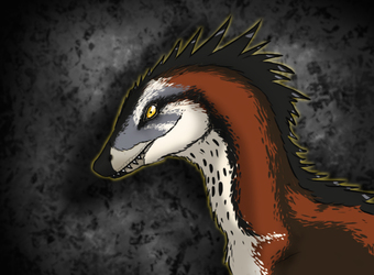 Ornate Raptor