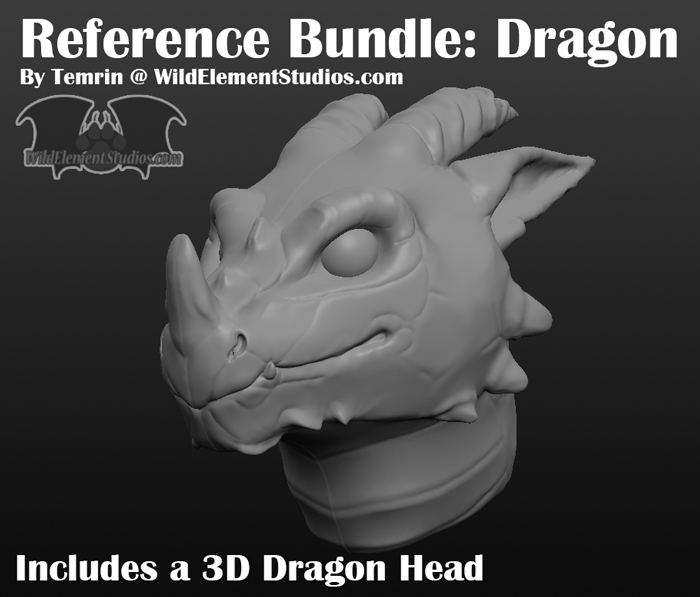 Art Ref: 3D Dragon Head Model