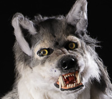 Nick Stead werewolf