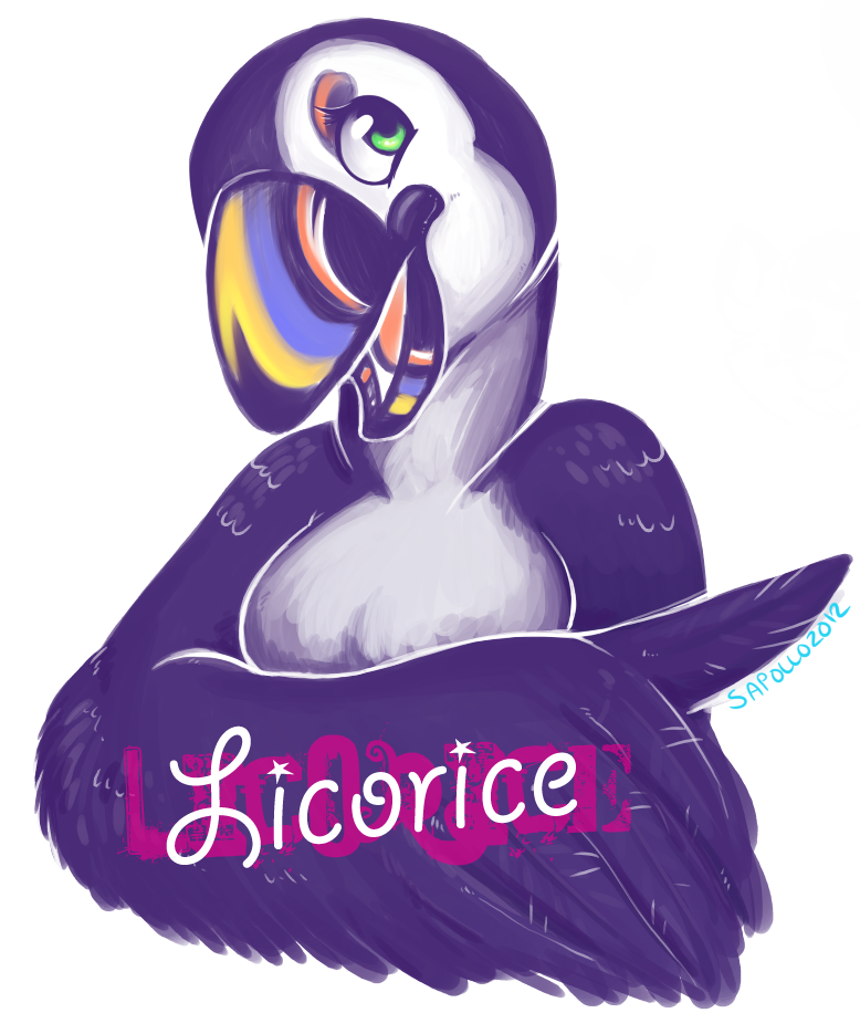 Licorice the Puffin BADGE