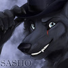 avatar of Sasho