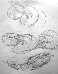 Snake Time Sketches 2