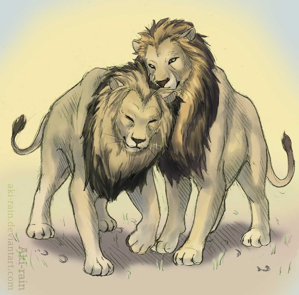 C: Kalahari Lions
