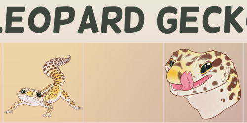Telegram Stickers - Leopard Gecko