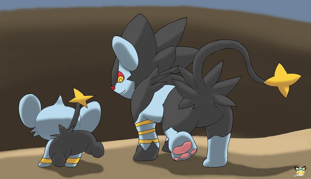 Most recent image: Shinx and Luxray