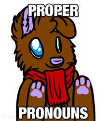 Proper Pronouns...