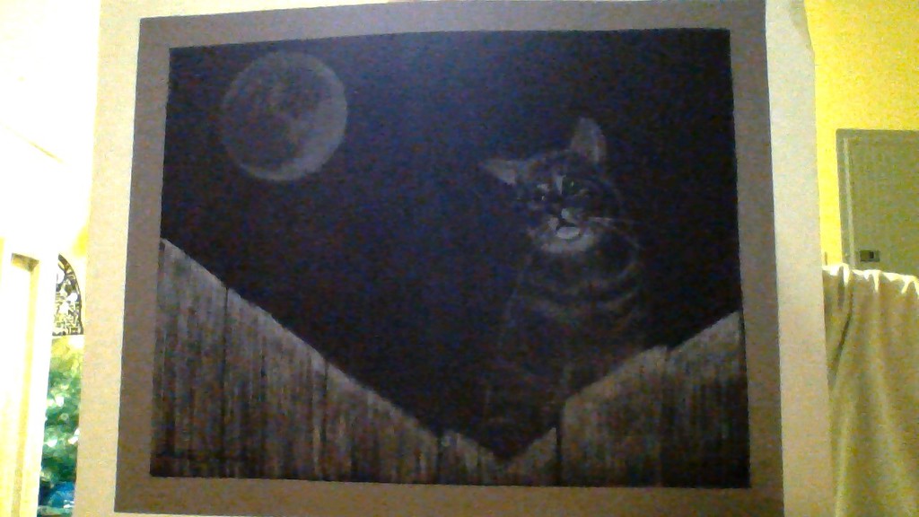 Cat On A Fence In  The Moonlight