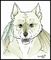 Wolf Sketchbook (Commission)
