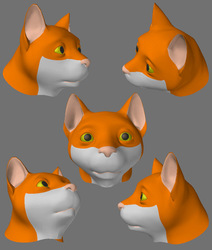 Cat Head Model