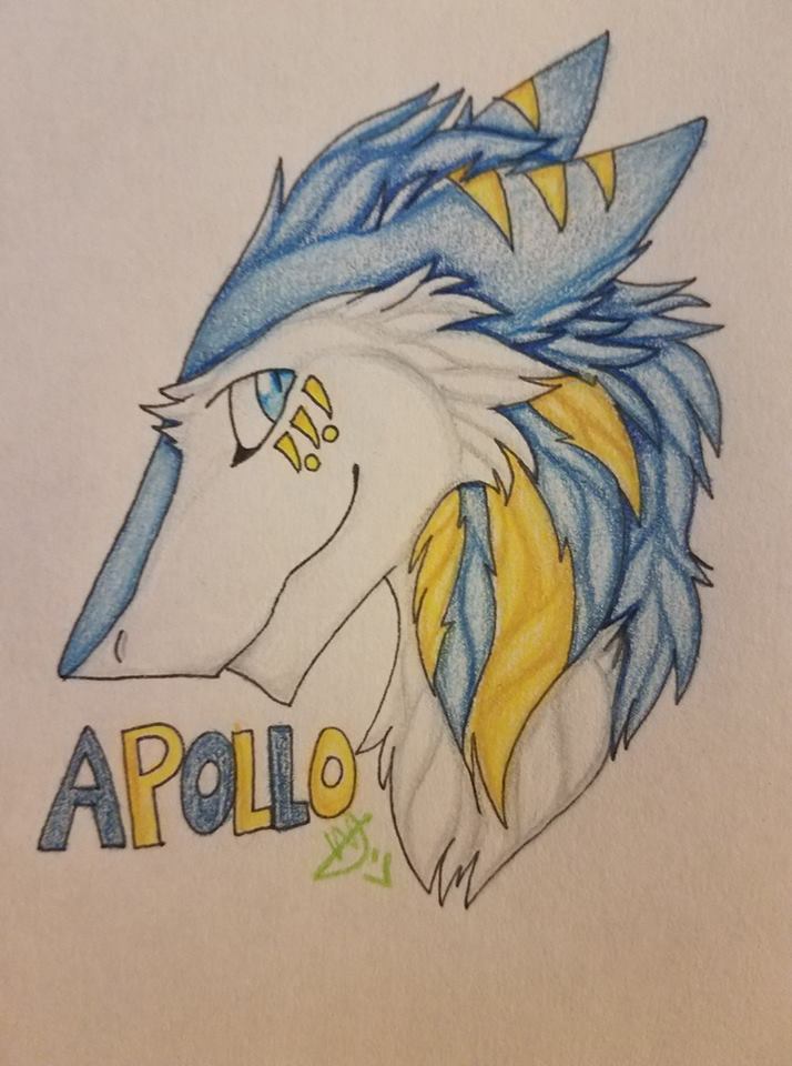 finished Apollo badge