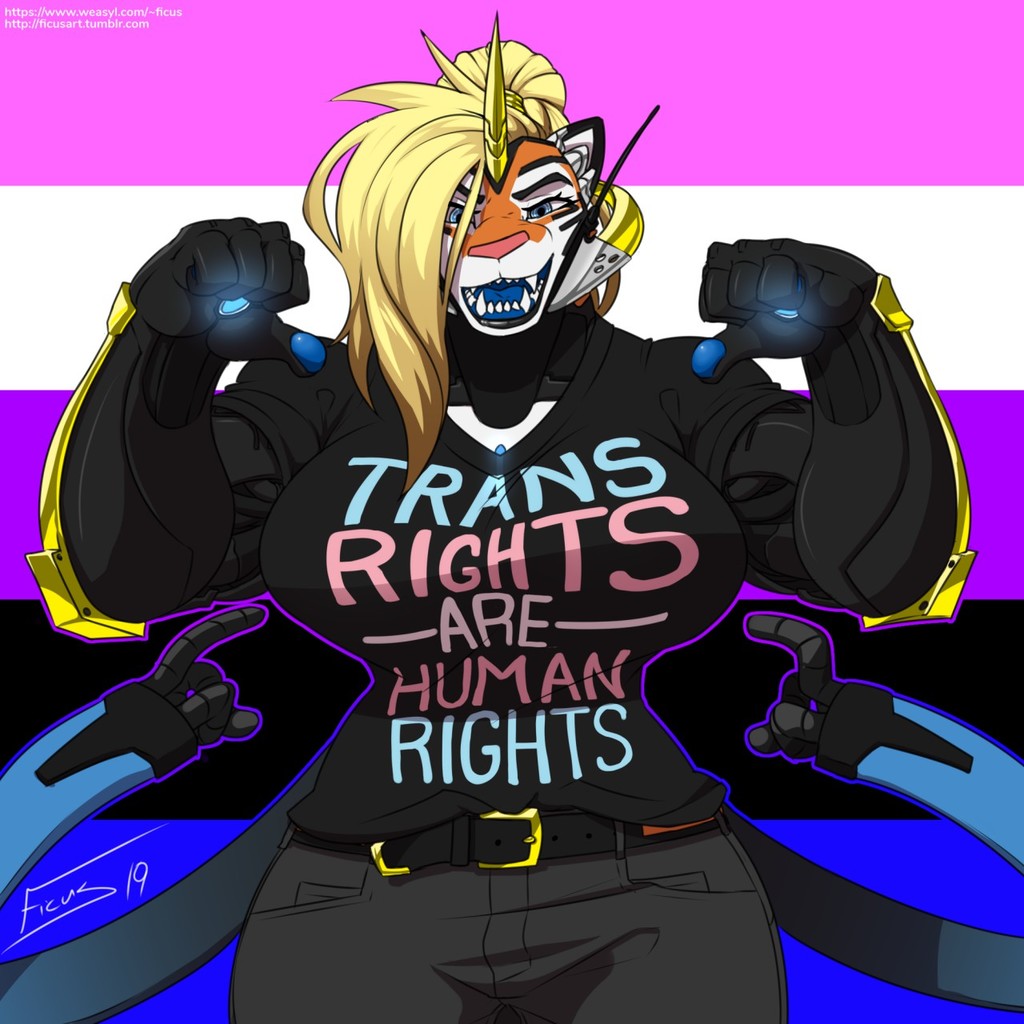 Trans Rights are Human Rights