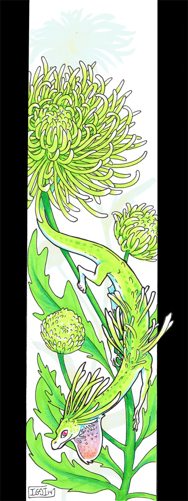 FAU7: Green Chrysantemum