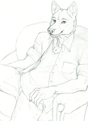 Blackwolflee Commission - Sketch
