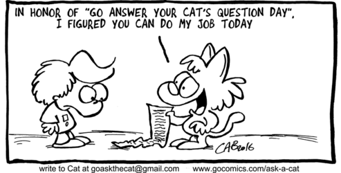 Answer Your Cat's Question Day