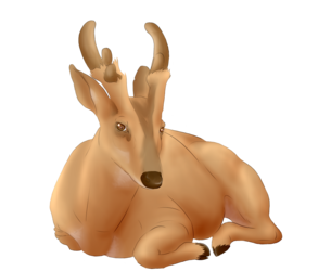 Giant Muntjac Deer