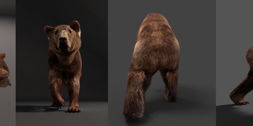 3D Bear (WIPS)