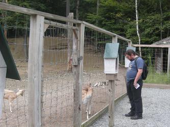 NH14: One Man's Zoo is Another Wolf's Grocery Store