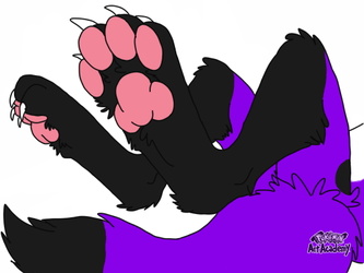 My Paws
