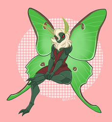 [comm] moth messengery