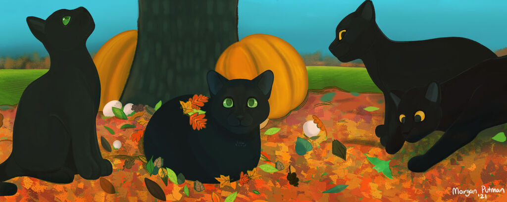 Most recent image: Black cats (2021)