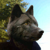 avatar of BlackWoodWolf