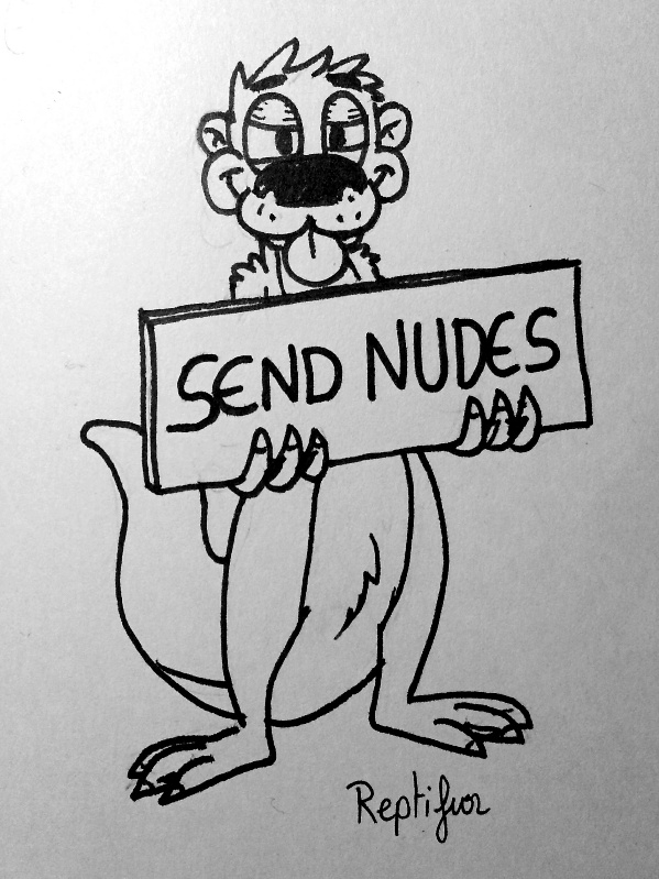 Send otter nudes