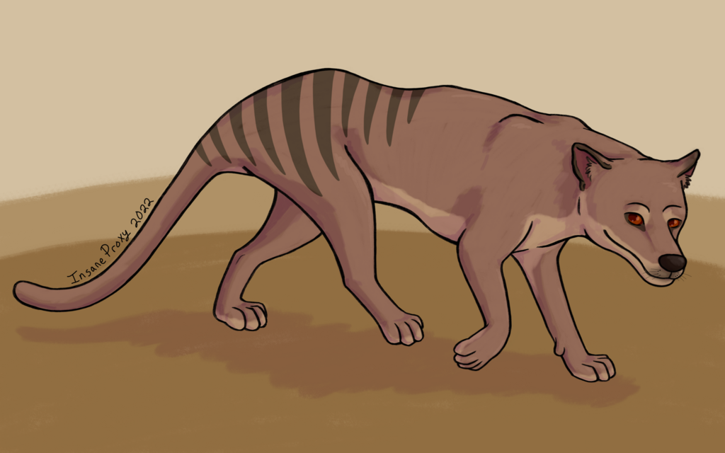 Most recent image: Thylacine