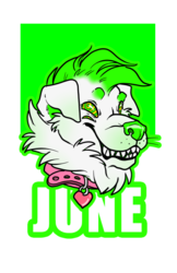AC 14 Badge commission for junia