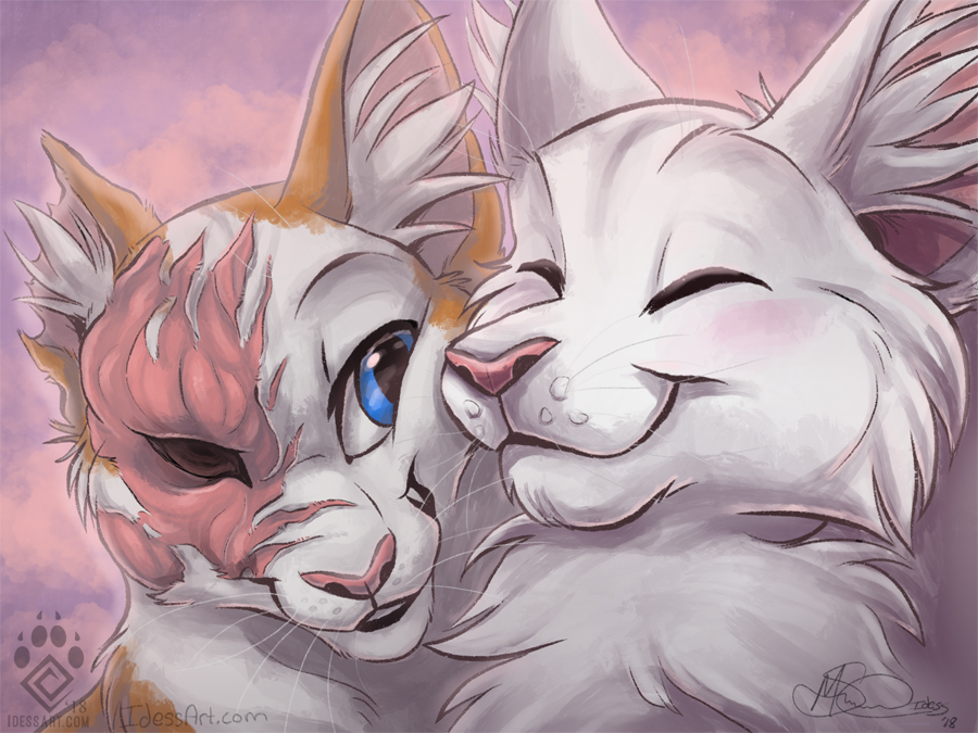 Brightheart & Cloudtail