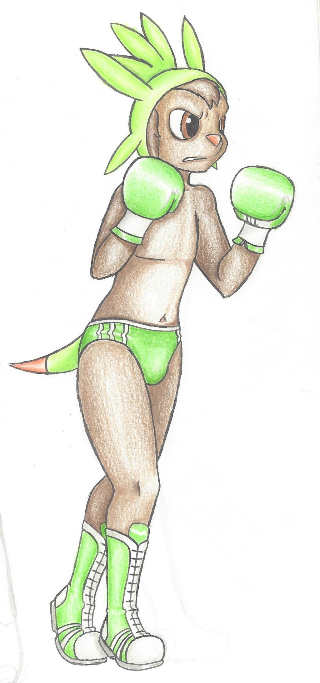 The Little Chespin Fighter