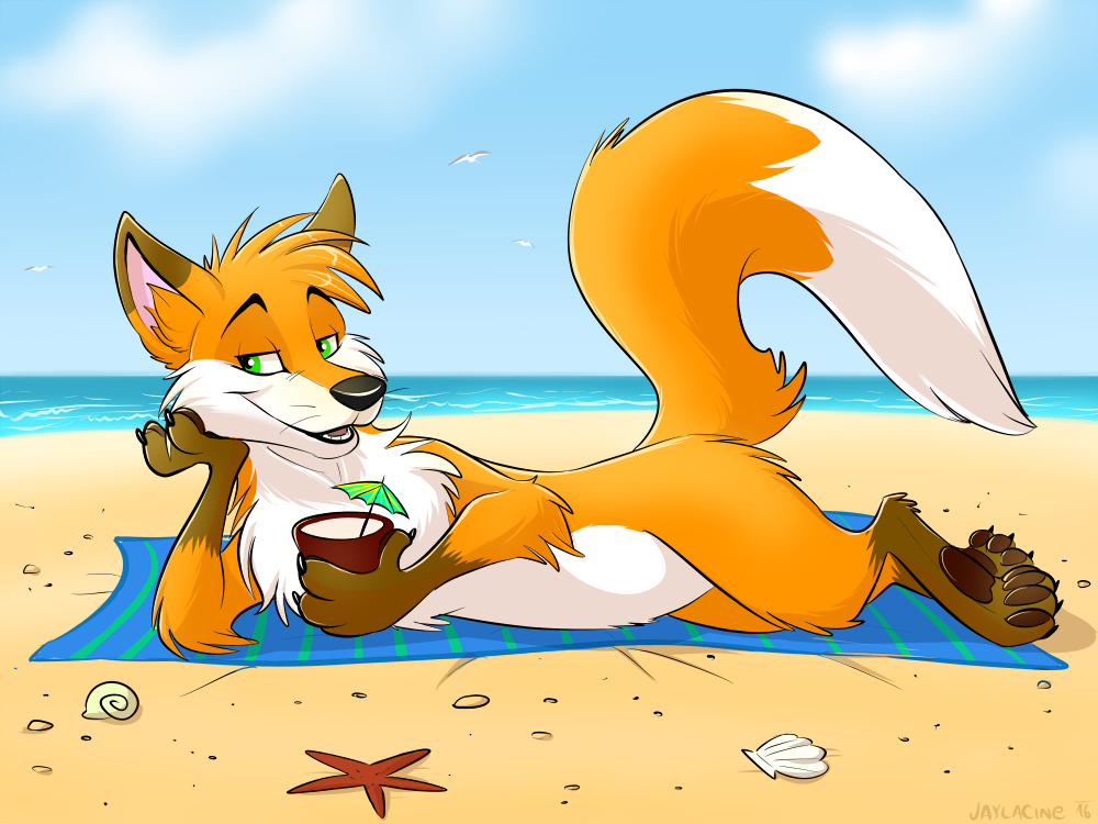 Summer-fox drawn by Galeb 