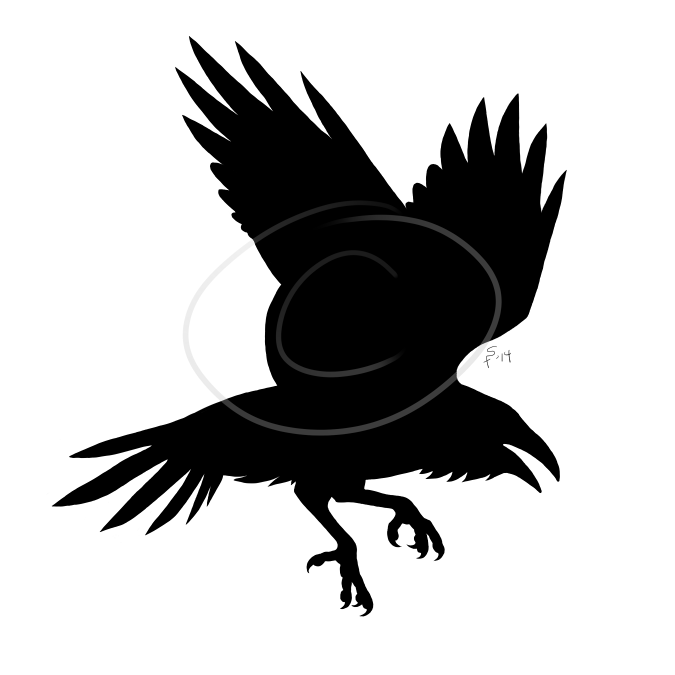 Steel Raven logo