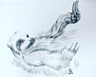 Bear/Sloth .:Commission:.