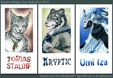 Standard Badges from AC 2014
