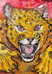 Angry jaguar- ACEO