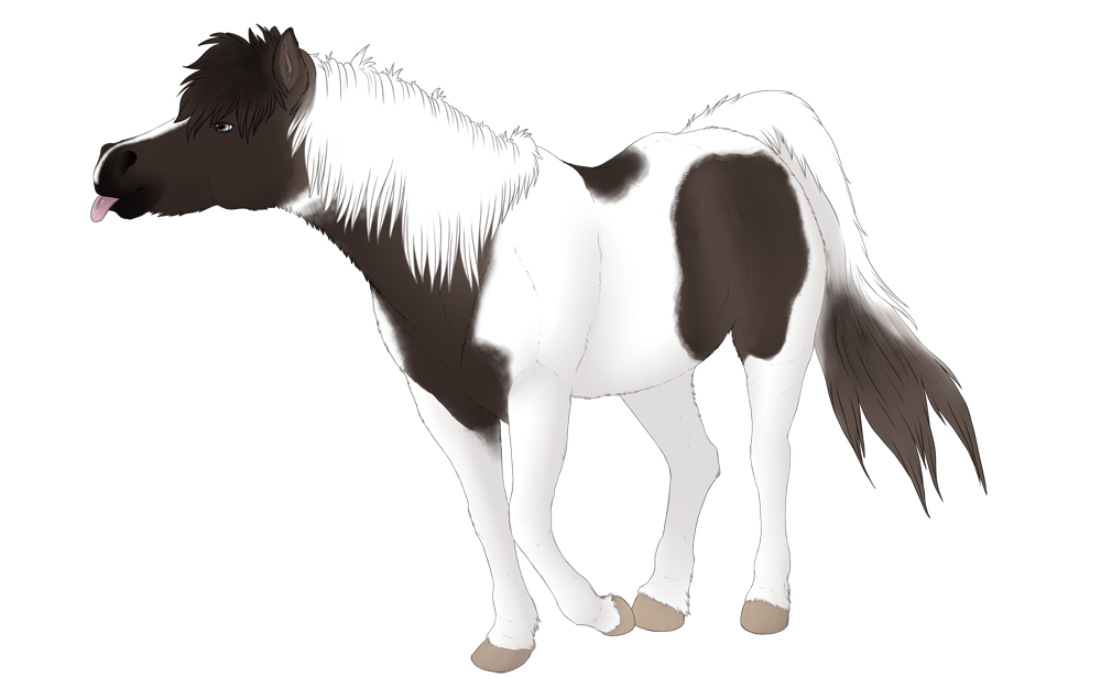 Most recent image: Sassy Pony