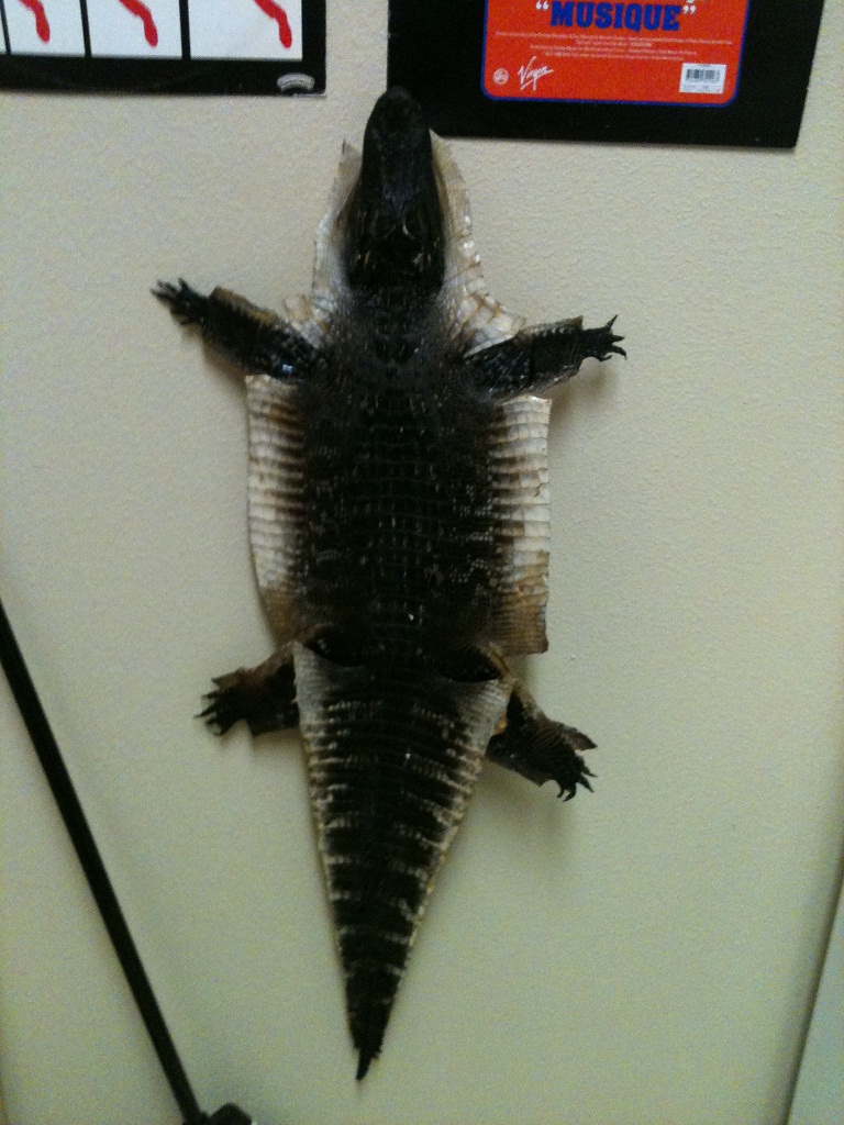 Alligator Rug
