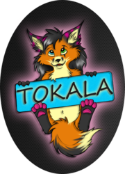 My name is Tokala