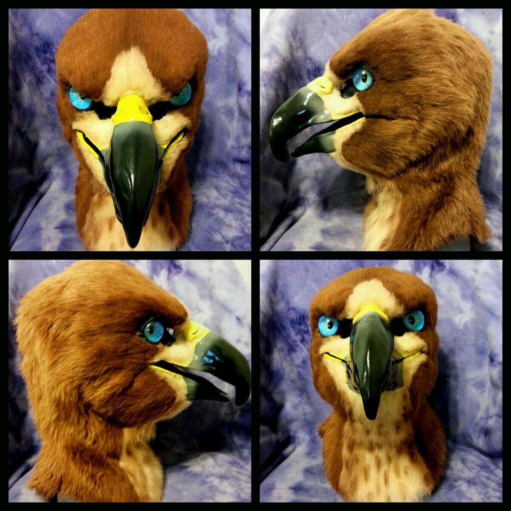 Most recent image: Red tailed hawk mask