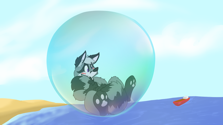 A Coon and his Bubble