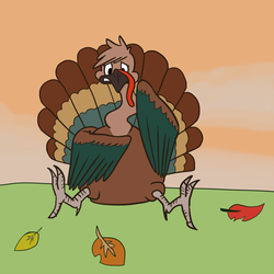 Oh,no! I'm a Turkey!
