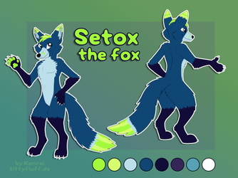 Setox the fox, Ref-Sheet