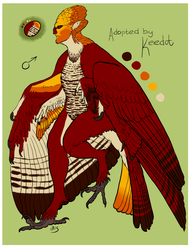 Male Harpy Adopt for Keedot