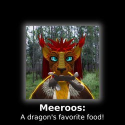 Meeroos are Dragon Food