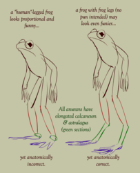 Frog legs' dilemma